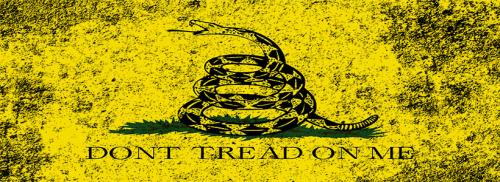 distressed-gadsden-cover