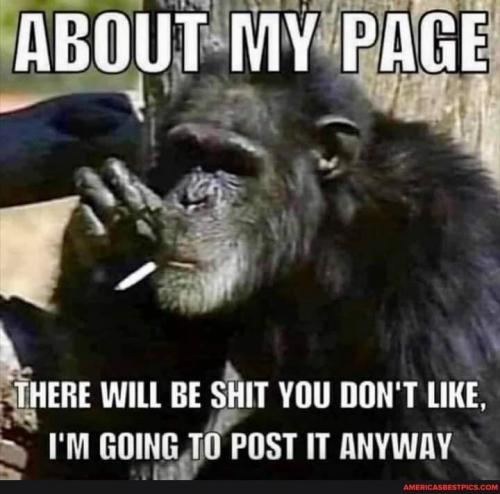 20:23:16 GMT-0600 (CST).image