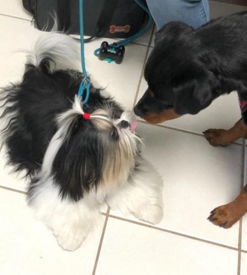 19:35:02 GMT-0500 (EST)