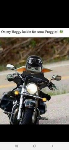 11:16:04 GMT-0500 (EST)