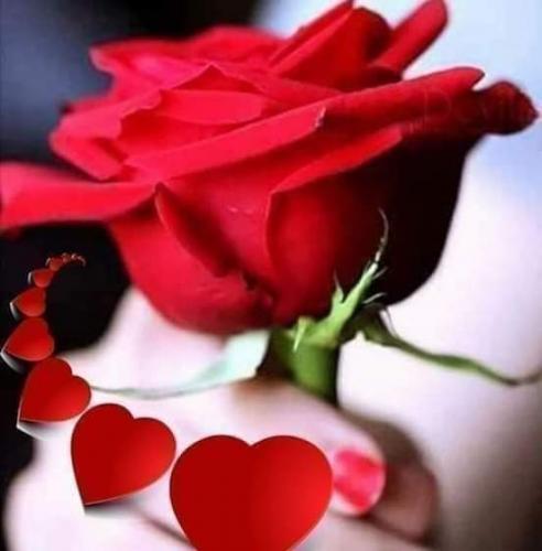 12:08:02 GMT+0000 (GMT)