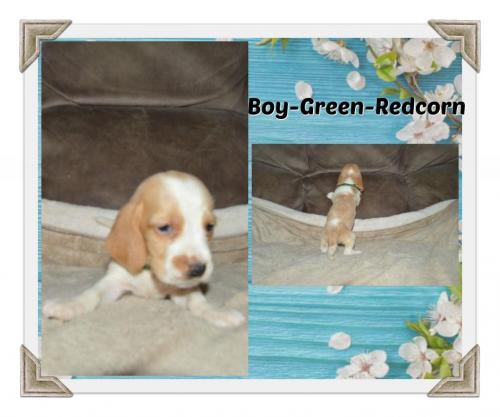 84284582_787600428412871_8914423842273755136_o