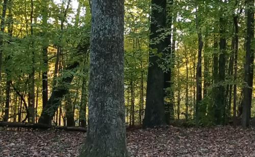 18:06:47 GMT-0600 (CST)