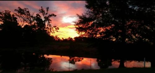 17:40:44 GMT-0600 (CST)