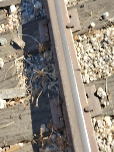 09:21:48 GMT-0800 (PST)