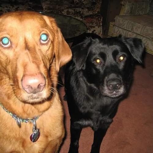 17:31:36 GMT+0100 (WAT)