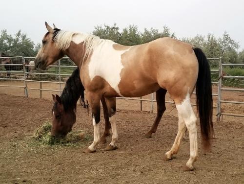 20:21:03 GMT-0700 (MST)