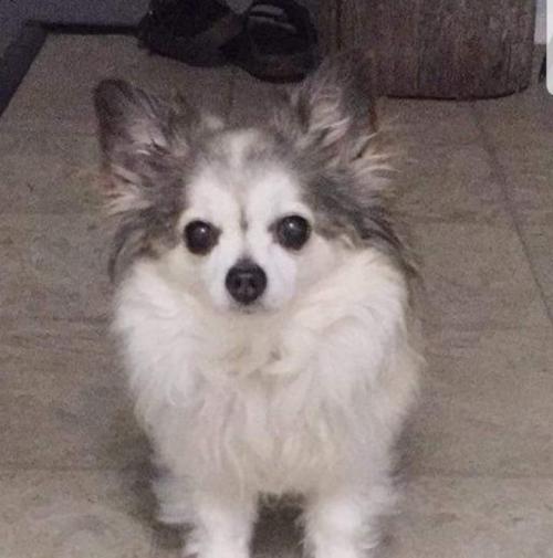 11:06:30 GMT+0100 (WAT)