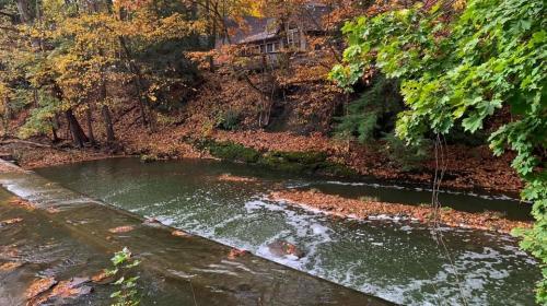 09:09:46 GMT-0500 (EST).image