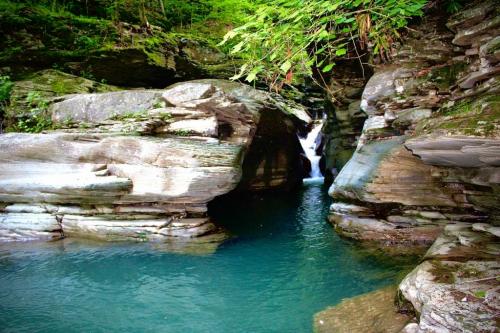 12:37:21 GMT-0500 (EST).image