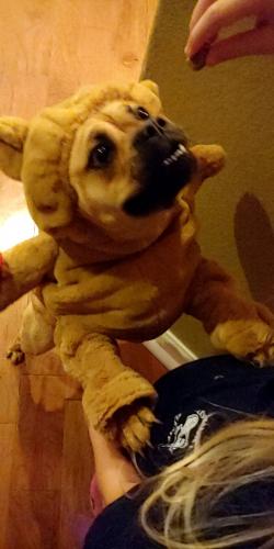 11:05:39 GMT-0500 (EST)