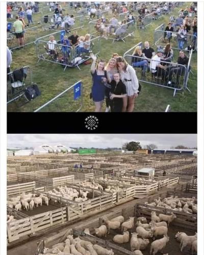 06:31:22 GMT+1000 (AEST)