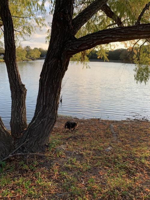 C16822CF-2D95-462D-8167-F4C8CEF1EE4A