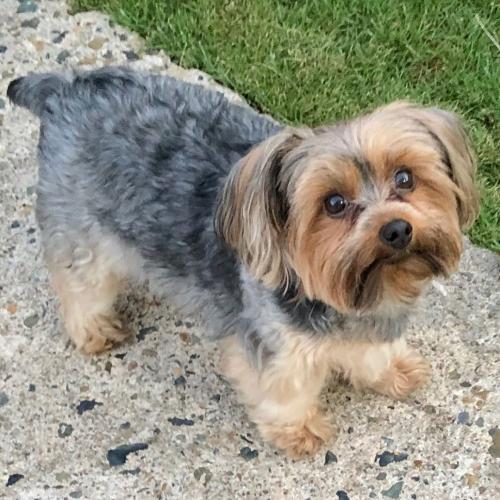 10:04:31 GMT+0100 (WAT)