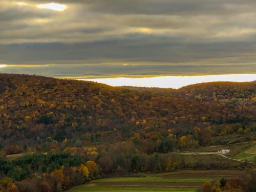 16:01:55 GMT-0500 (EST).image