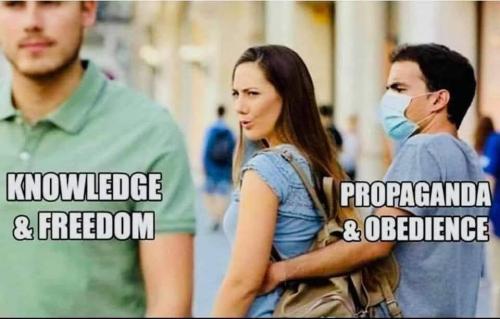 125223177_2515025612123427_1661481202872076346_n