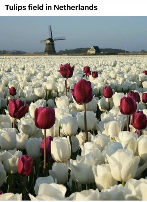 22:32:59 GMT-0600 (CST).image