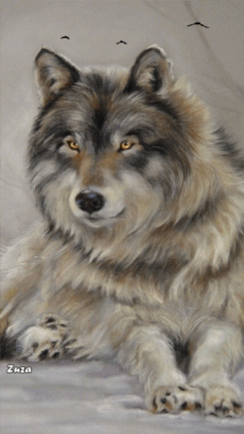 20:48:58 GMT-0600 (CST).image