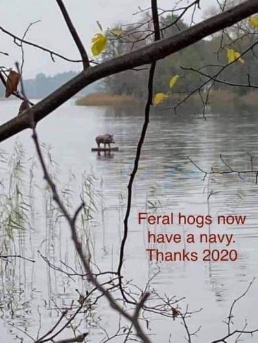 01:01:12 GMT-0600 (CST).image