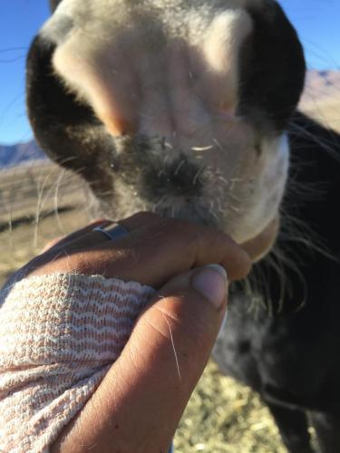 17:24:15 GMT-0800 (PST).image