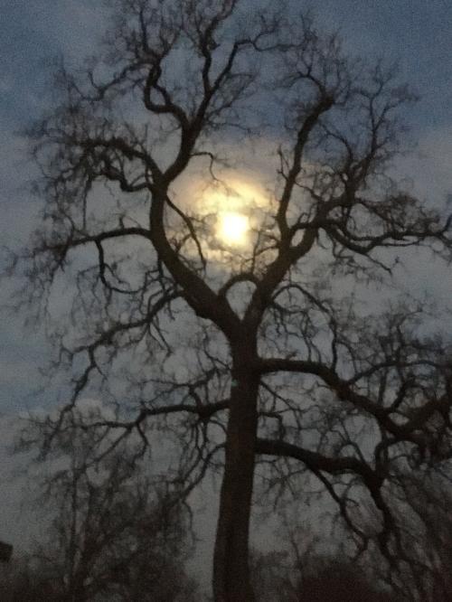 68C17828-0E51-4552-B95C-89887BCB17C3