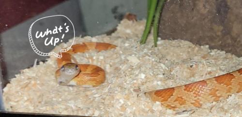 00:22:47 GMT-0500 (EST)