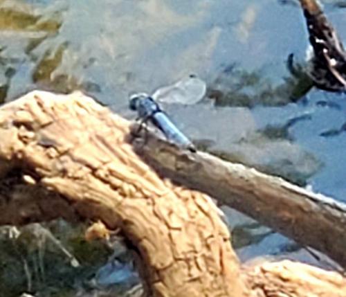 15:42:50 GMT-0800 (PST)