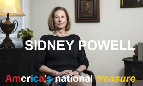 Sidney-Powell-EpochTimes_510A8621--700x420