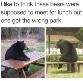 00:01:14 GMT-0800 (PST).image