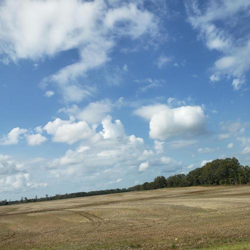 22:18:04 GMT-0600 (CST)