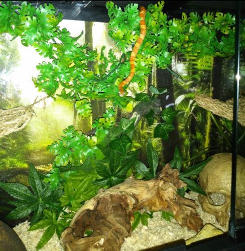 21:21:13 GMT-0500 (EST)