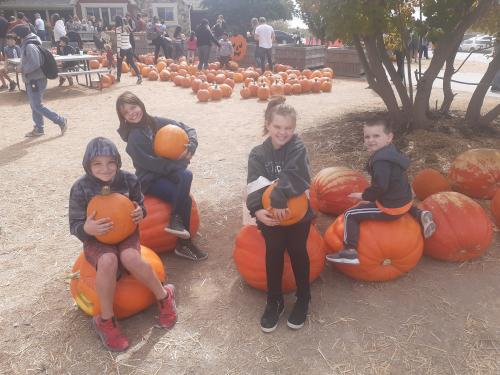 13:38:09 GMT-0500 (EST)