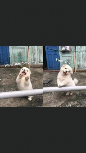 20:11:18 GMT-0600 (CST).image