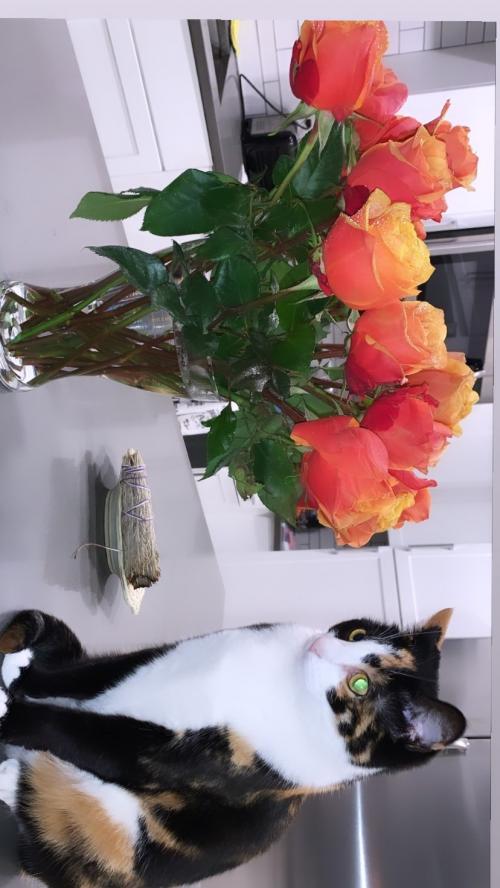 16:34:42 GMT+0100 (WAT)