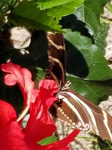 21:29:06 GMT-0500 (EST)