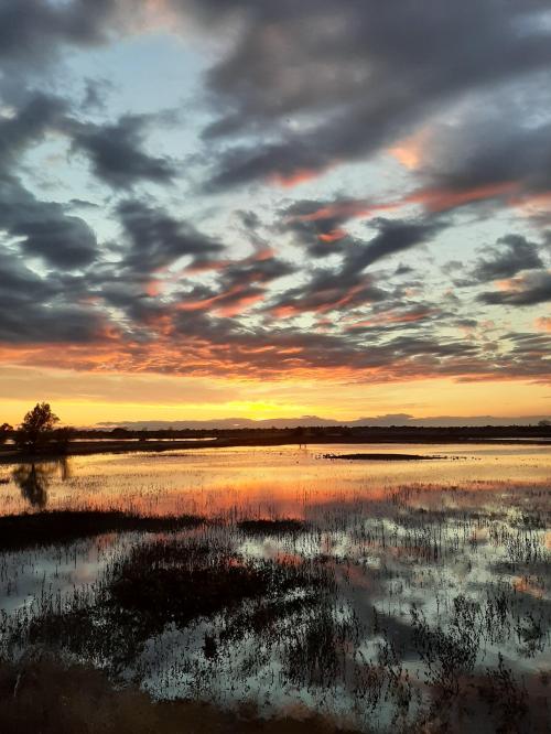 07:07:10 GMT-0800 (PST)