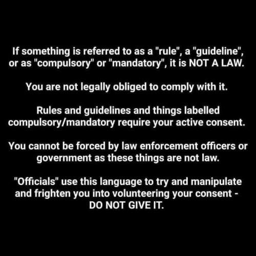 116800575_10158542868240818_5863455113566900752_n