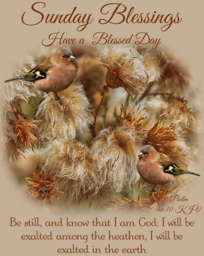 07:04:28 GMT-0600 (CST)