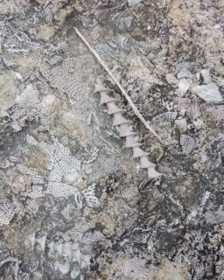 21:10:59 GMT-0600 (CST)