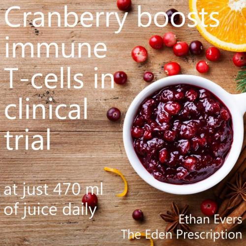 13:11:54 GMT-0700 (MST)