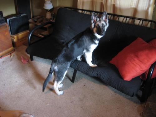 4803BB28-66DE-434B-95DD-2FC9BFB8D369