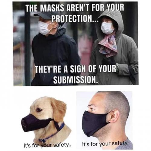 08B83F26-650A-44C9-90BF-0598C9E6F758-11571-000007929E3CBD0E