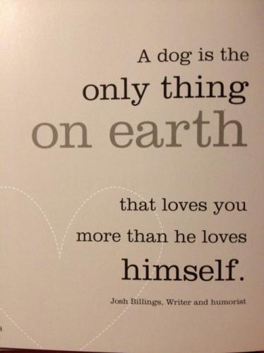 A Dog's Love-2