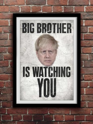 bigbrother-Boris1