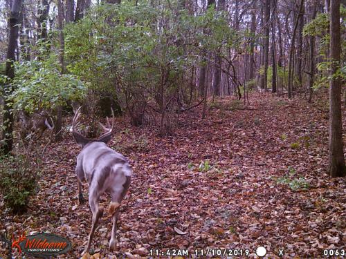 11:37:52 GMT-0500 (EST).image