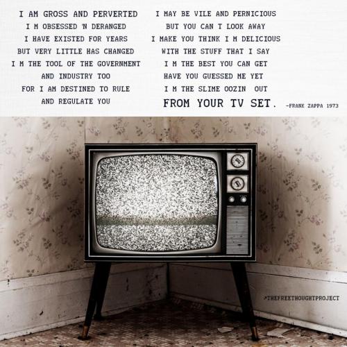 122720883_2406976866276180_6947567618037372455_o