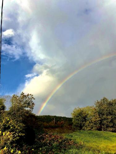 16:01:55 GMT-0500 (EST).image