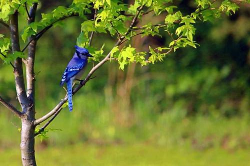 21:30:18 GMT-0600 (CST)