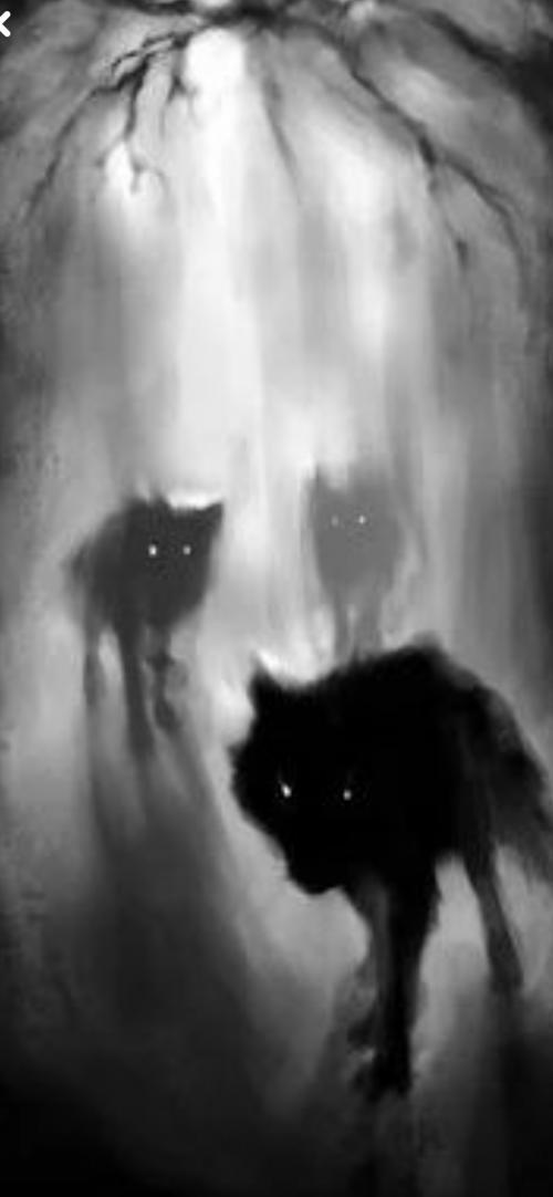 23:03:46 GMT-0600 (CST).image