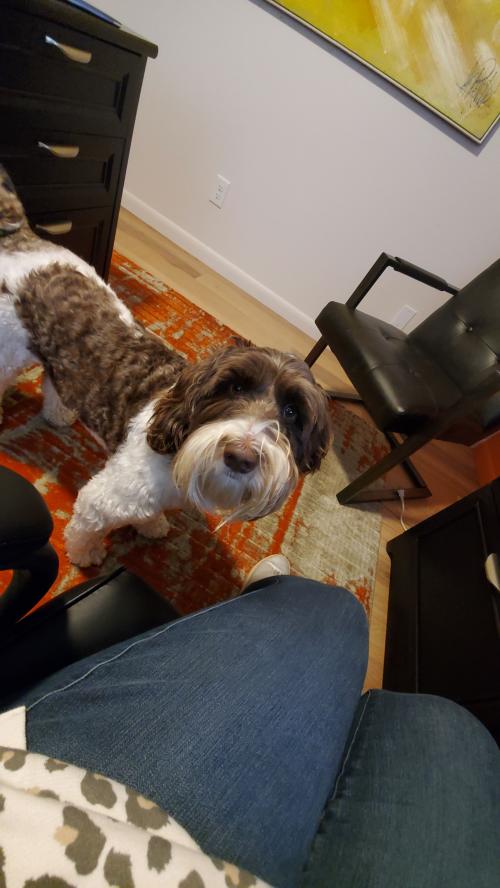 12:35:34 GMT-0500 (EST)